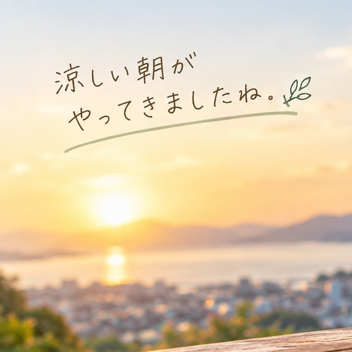 画像273